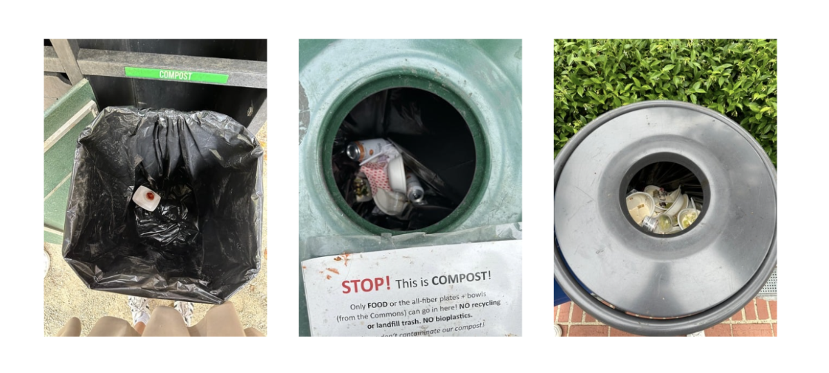 Left to Right: 1.Composting station with very little items inside, except for things that cannot be recycled. 2. A clear sign specifying what can and cannot be composted, yet there is still non-compostable items inside the bin. 3. Trash can in eating area that is full of items that can be recycled or composted.